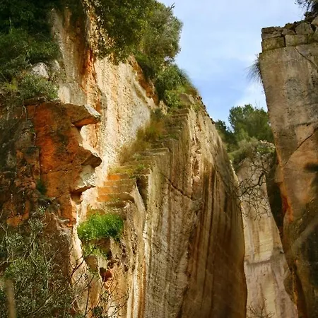 Finca Ses Cuarterades * アライオル